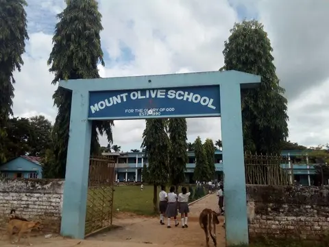 Mount Olive School Gate